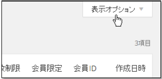 表示オプション